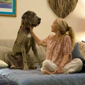 Meet your Posher, Charade